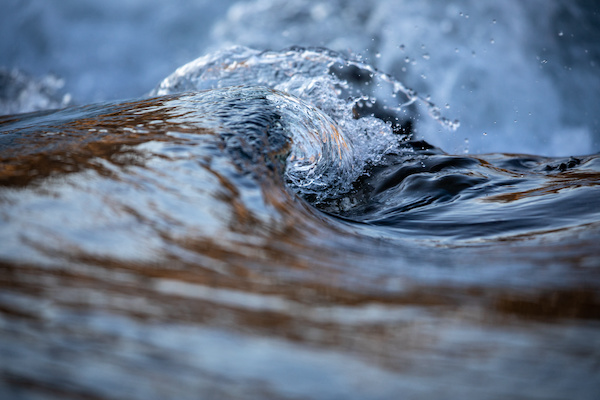 From Peats to Rivers: The Significance of Clean Water