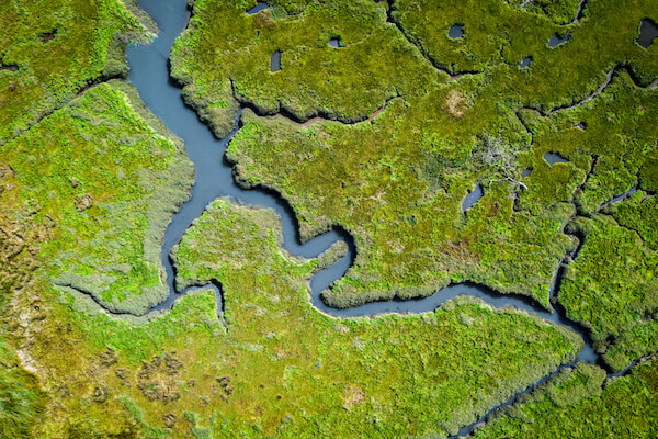 Aerial view of coastal wetlands UK