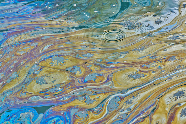 An oil spill on a river leaves a multi-coloured sheen, suggesting the water is polluted.