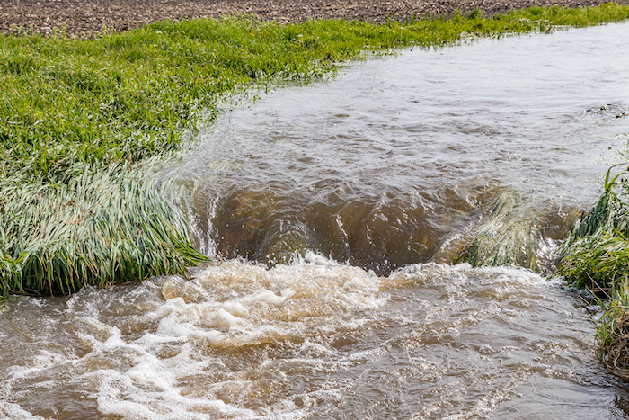 Brown polluted water is running through a flooded agricultural field.