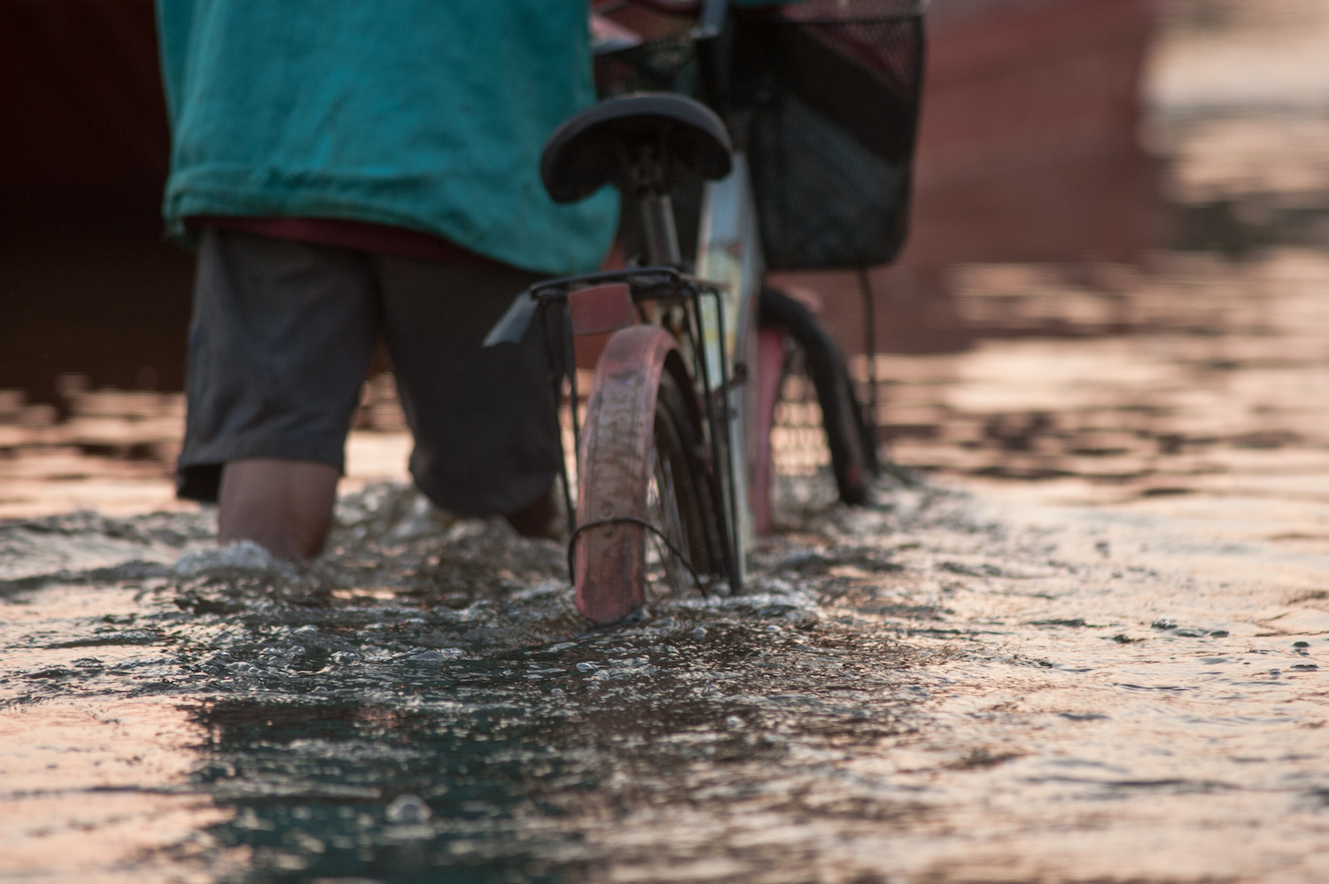 A cyclist walks alongside his bicycle through knee-deep flood water.