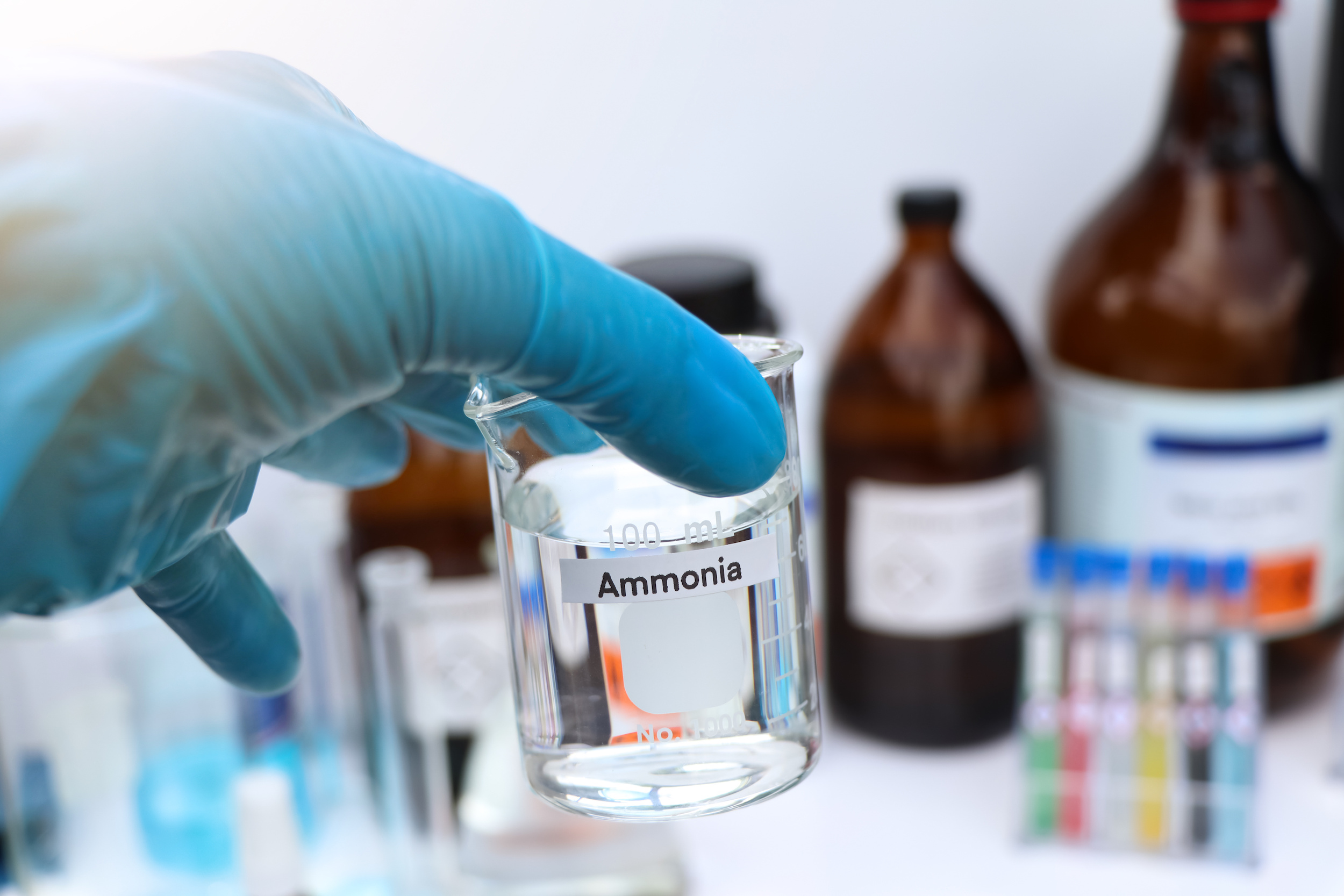 Someone with a blue protective glove on holds a glass beaker labelled 'Ammonia'.