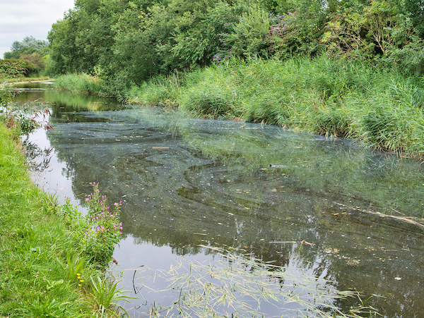 The surface of a river in Leeds is slicked with pollutants.