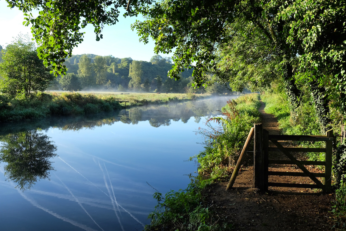 The view down a river in Surrey, where a gated footpath runs down the right side. Trees overhang the water.