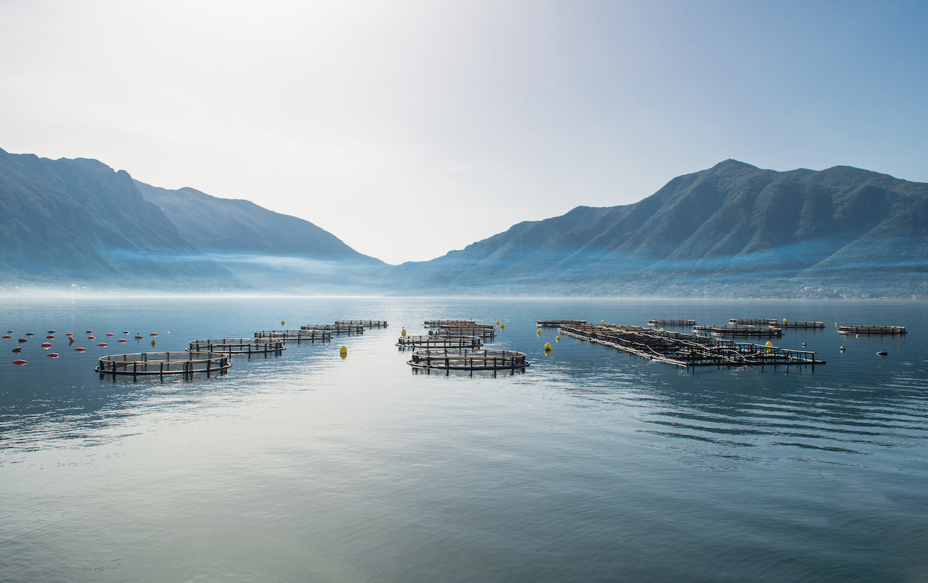 A still lake in front of a mountain range has a series of cages in it for fish farming.
