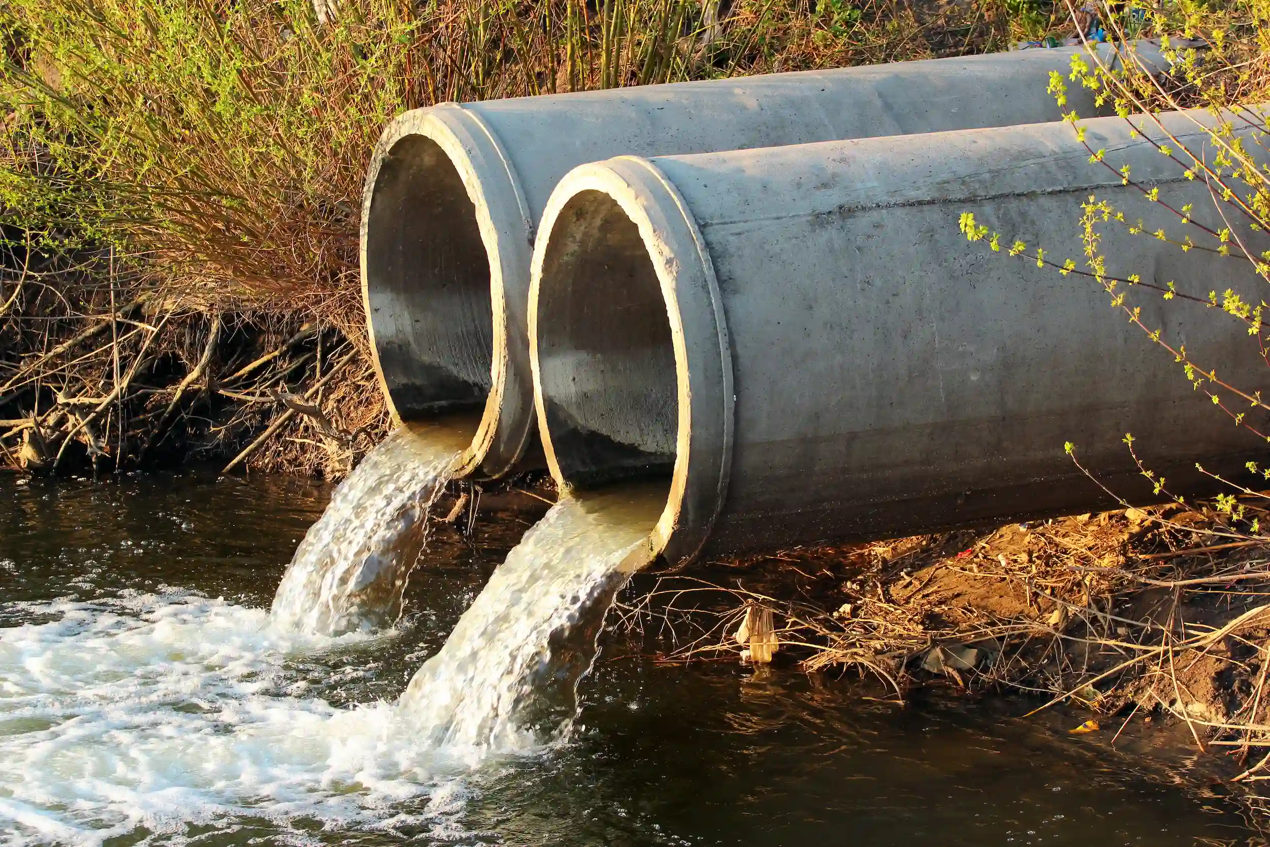 Sewage pipes discharging effluent into a river.