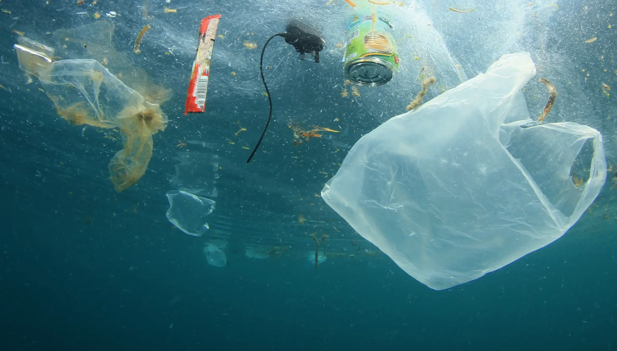 Plastic bags, cans, and packaging pollution in the sea.