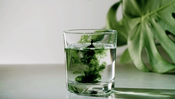 Chlorophyll extract is poured into a glass of water.