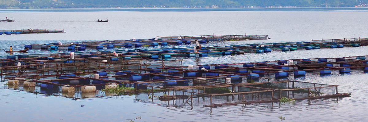 Aquaculture