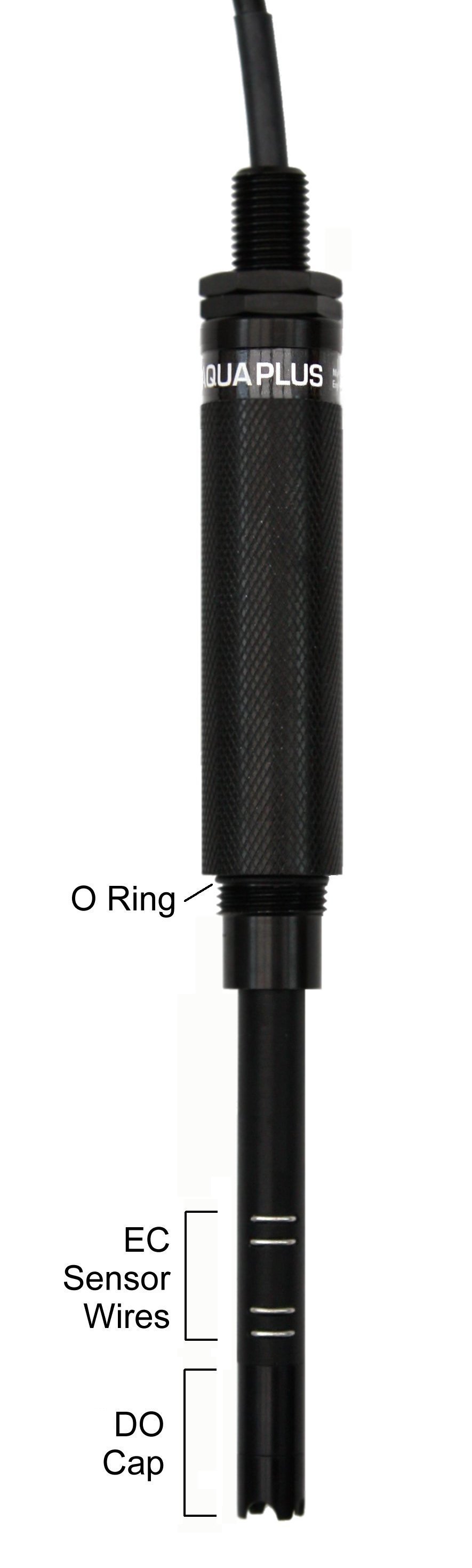 O Ring