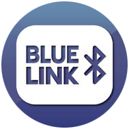 Bluelink